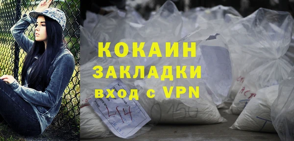 соль ск Абаза
