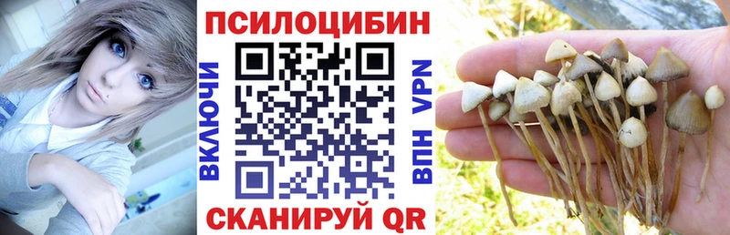Псилоцибиновые грибы мицелий  Руза 